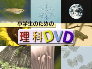 理科DVD